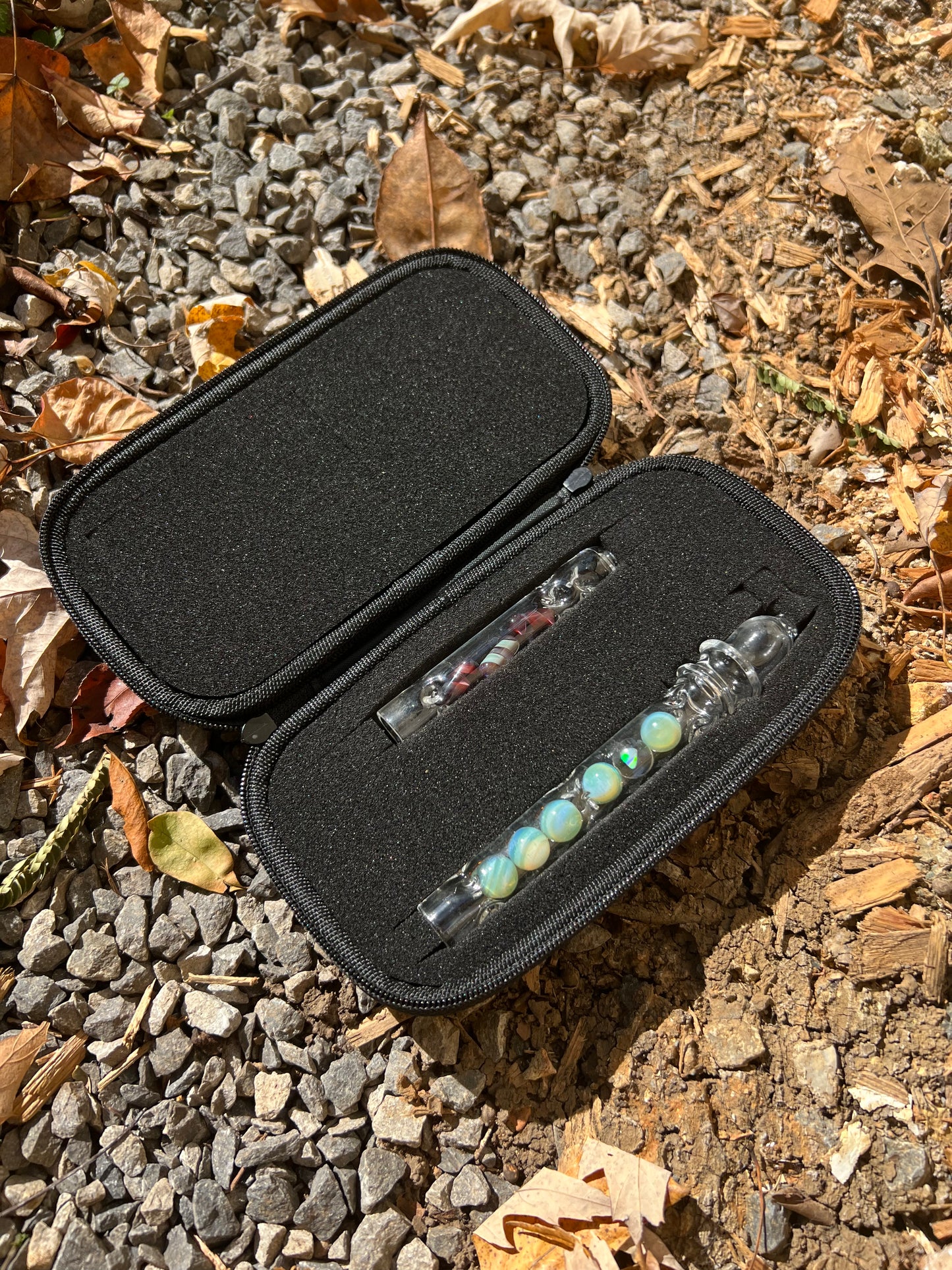 Accessory Protective Case